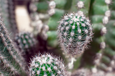 Similar image 21512121