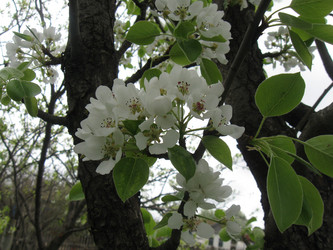 Similar image 21512348