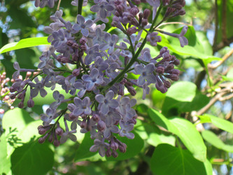 Similar image 21515010