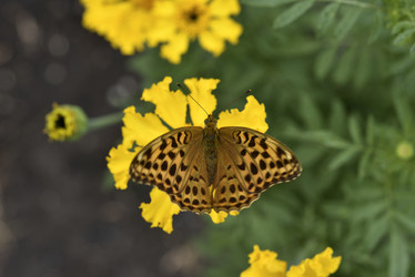 Similar image 21512513