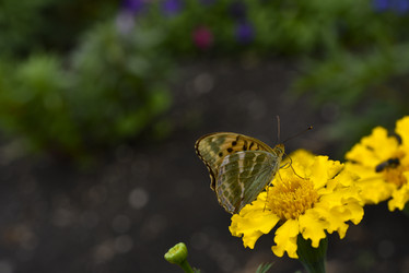 Similar image 21512514