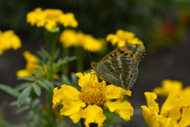 Similar image 21512515