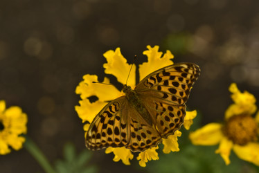 Similar image 21512516