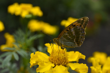 Similar image 21512517