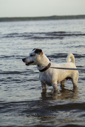 Similar image 21512349