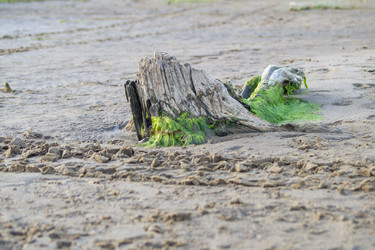 Similar image 21512350