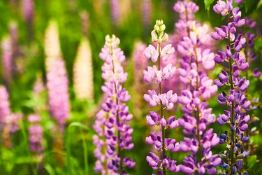 Similar image 21512217