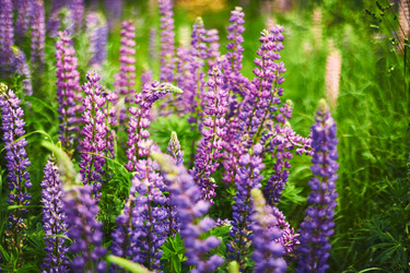 Similar image 21512218