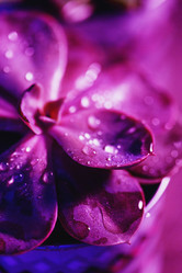 Similar image 21512219