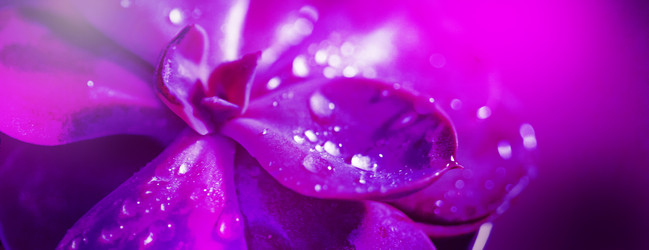 Similar image 21512220