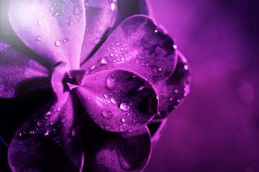 Similar image 21512221