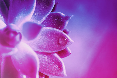 Similar image 21512222