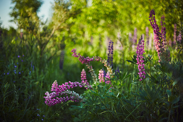 Similar image 21512224