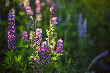 Similar image 21512225