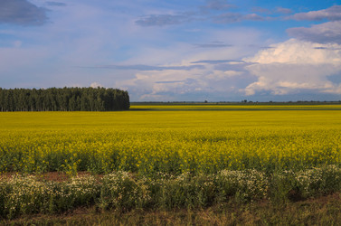 Similar image 21512096