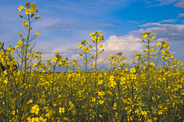 Similar image 21512098