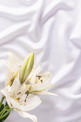 Similar image 21512267