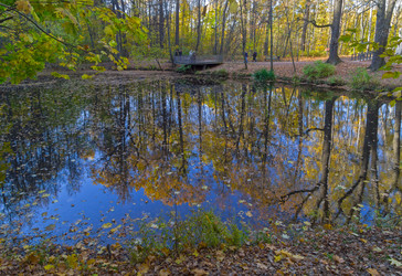 Similar image 21512364