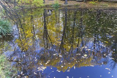 Similar image 21512365