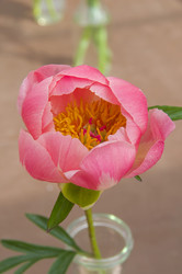 Similar image 21512366