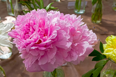 Similar image 21512367