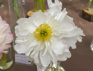 Similar image 21512368