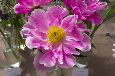 Similar image 21512369