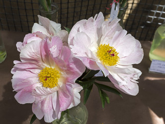 Similar image 21512370