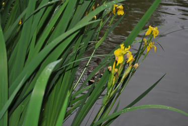 Similar image 21512373