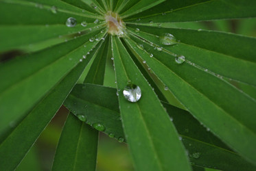 Similar image 21512375