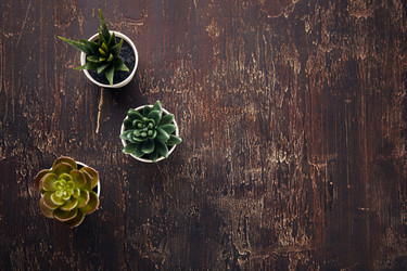 Similar image 21512379