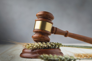 Similar image 21512329