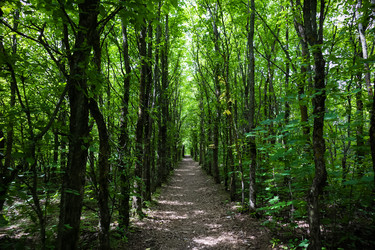 Similar image 21512394