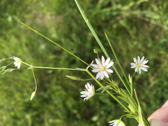 Similar image 21513387