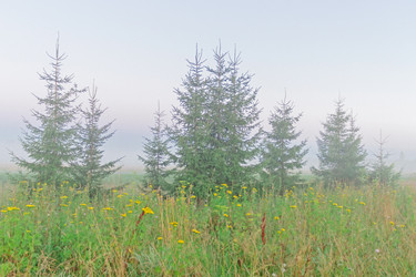 Similar image 21515856