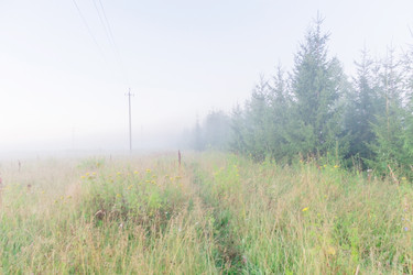 Similar image 21515858