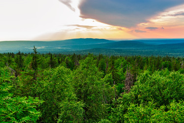 Similar image 21515880