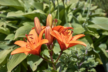 Similar image 21513189