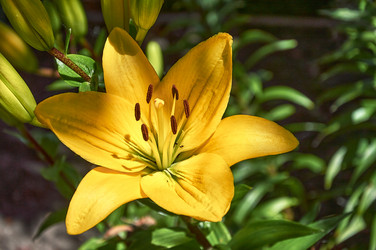 Similar image 21513191