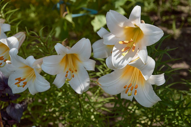 Similar image 21513192