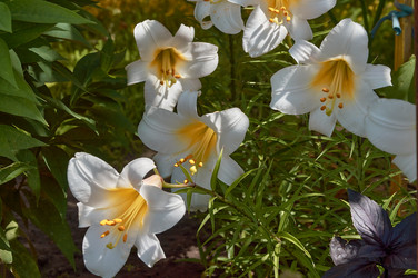 Similar image 21513193