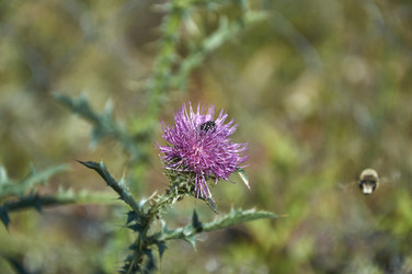 Similar image 21513194