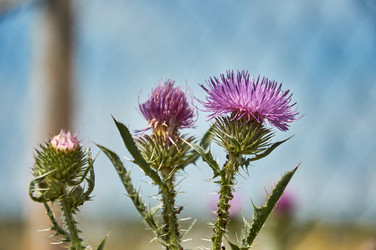 Similar image 21513196