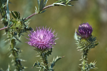 Similar image 21513197