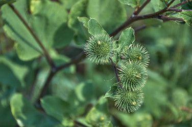 Similar image 21513198