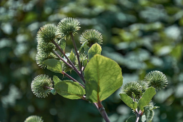 Similar image 21513199