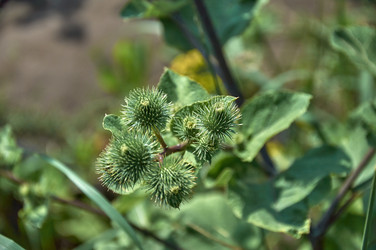 Similar image 21513200