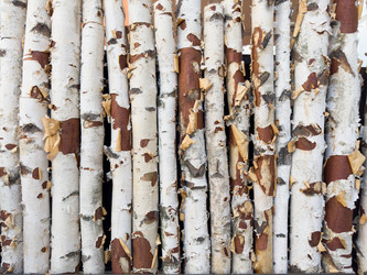 Similar image 21512611