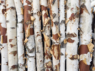 Similar image 21512613