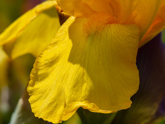 Similar image 21512412